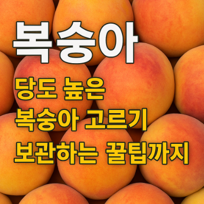 복숭아-당도-높은-것-고르는-방법