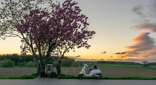 산업안전기사 시험 일정과 합격률 