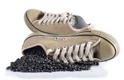 신발 습기 제거하기