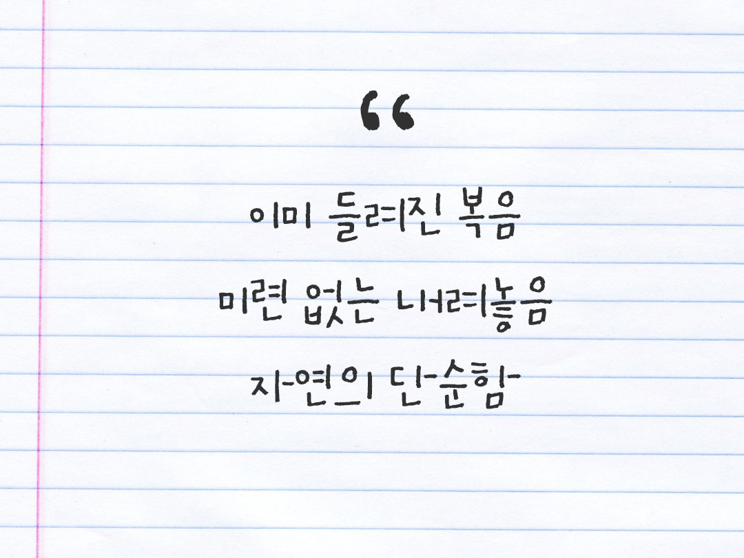 2026년 3월 5일 피어나네 감사노트｜일상을 행복으로 바꾸는 기록 하루 3줄 감사일기