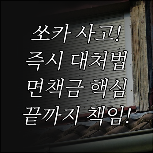 쏘카 사고 발생 시 운전자 대처 및 ..