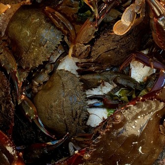 6시 내고향 여수 돌게장 꽃게장 갓김치 맛집 어부밥상 위치 메뉴 가격 택배 주문방법13