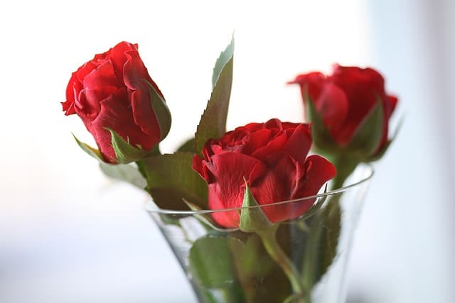 데이트폭력 대처방법