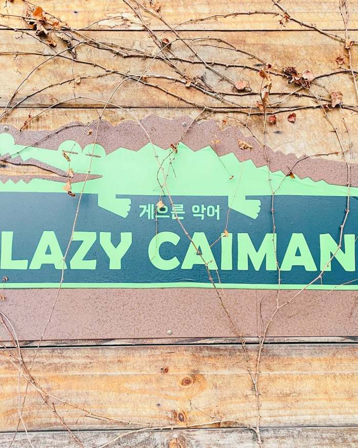 충주 맛집 추천 생방송투데이 악어봉 충주호 월악산 전망 뷰맛집 캠핑라면 커피 오늘방송 보고 먹고 즐기고 3GO