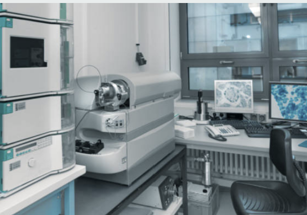 Clinical Trial Sample 분석에서 Incurred Sample Reanalysis(ISR) 실패 원인 분석