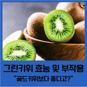 키위 효능과 부작용 비타민 풍부한 과일 정보_3