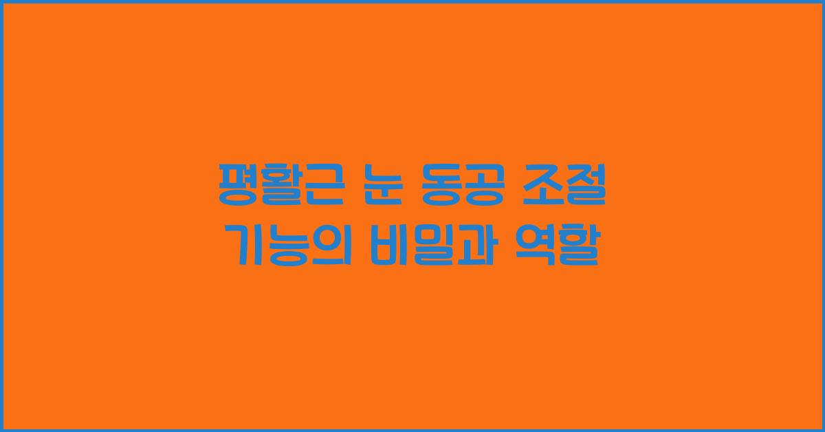 평활근 눈 동공 조절 기능