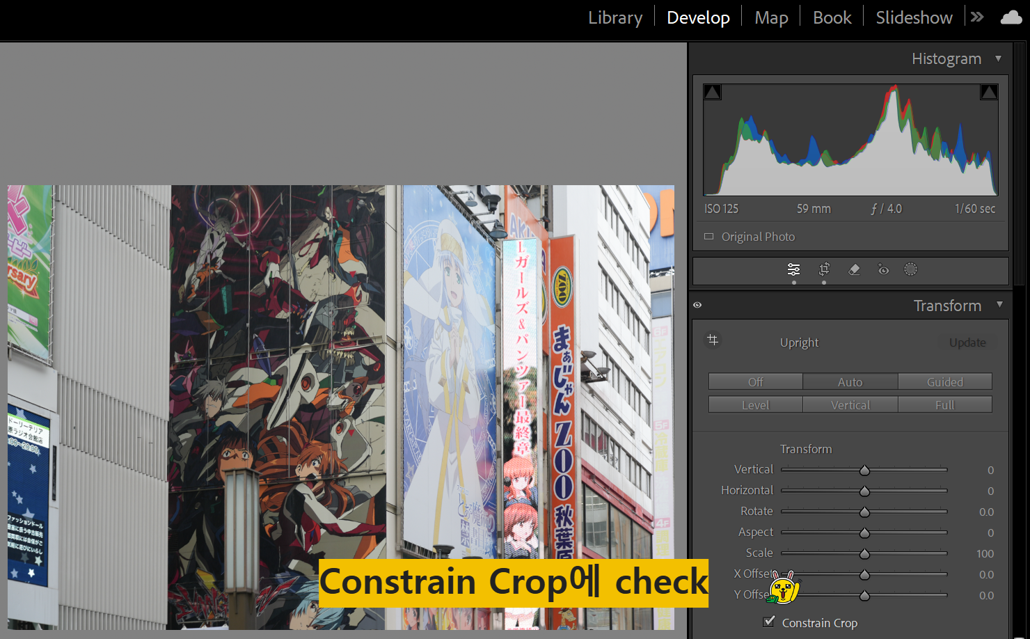 모서리의 흰색 부분을 제거하기 위해 Cosntrain Crop 메뉴를 check