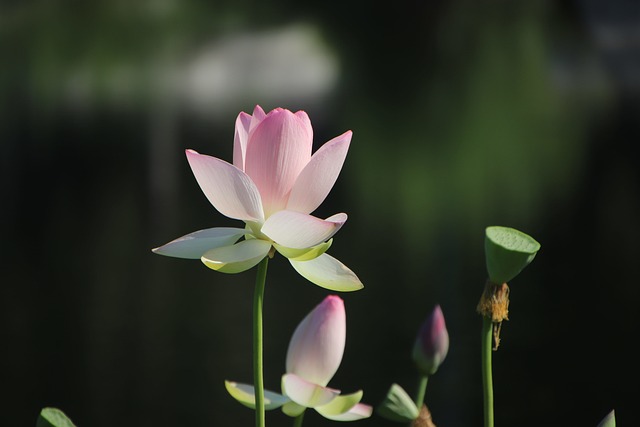울진 가볼만한곳 베스트 10