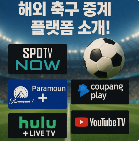 해외 축구 중계 플랫폼