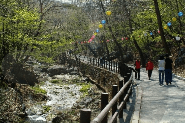 공주시 동학사계곡