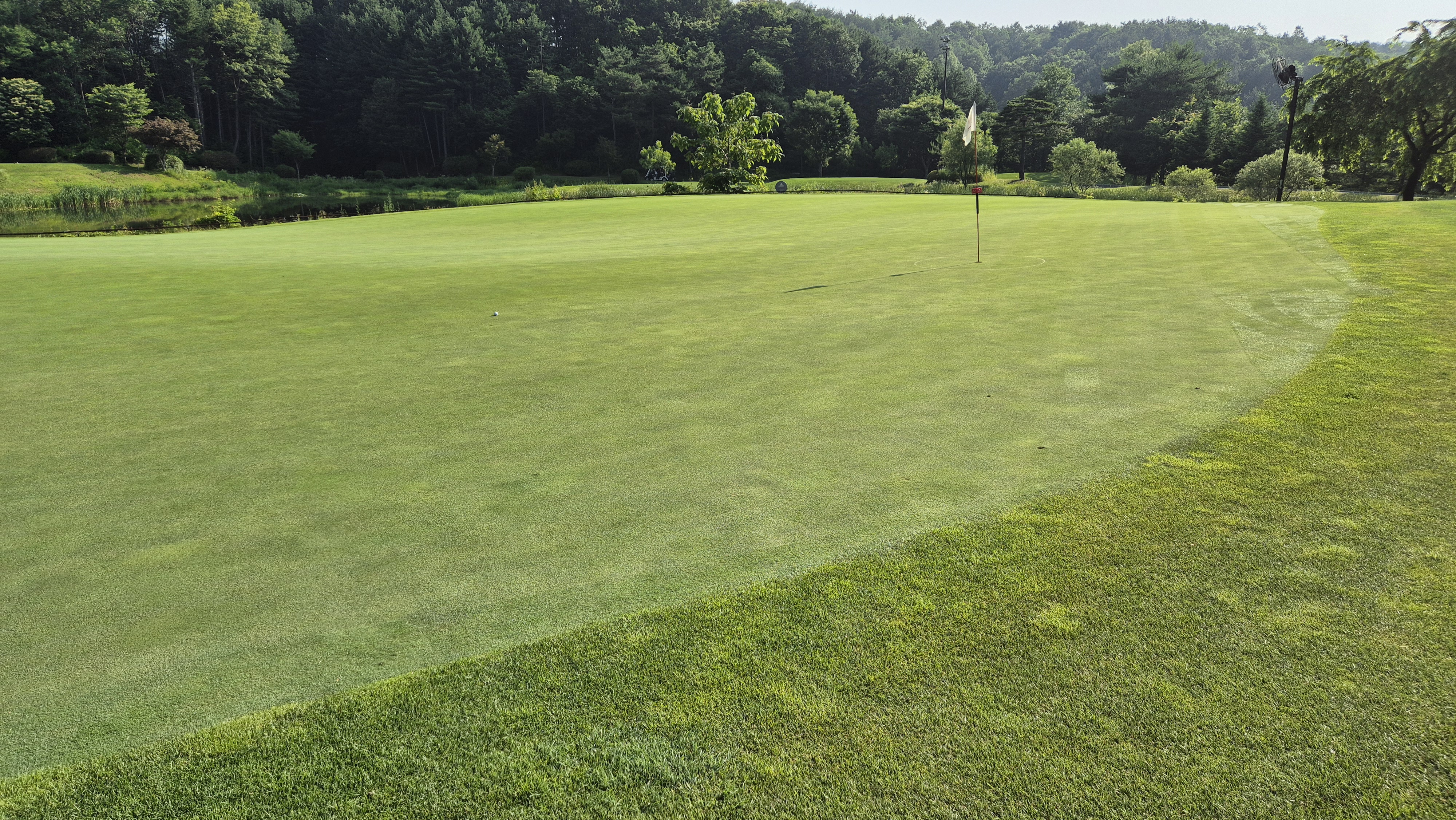 샤인데일cc 라운드 후기