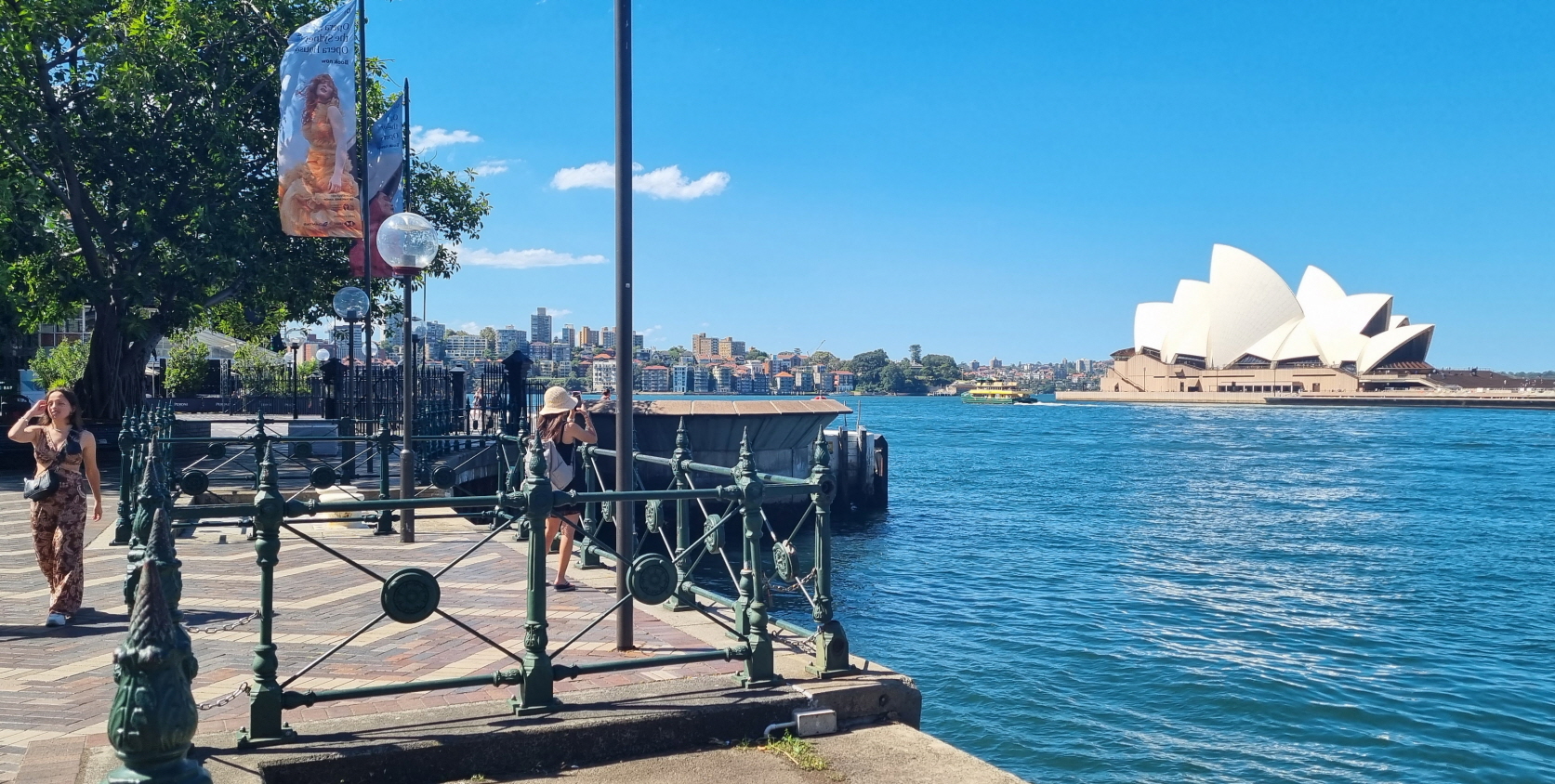 시드니 일몰 야경 인생샷