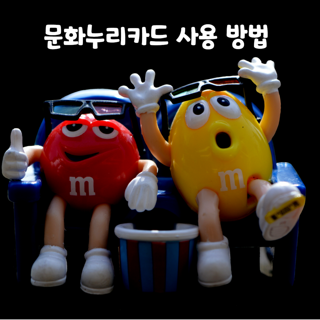 문화누리카드