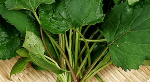 5월 제철음식 냉이