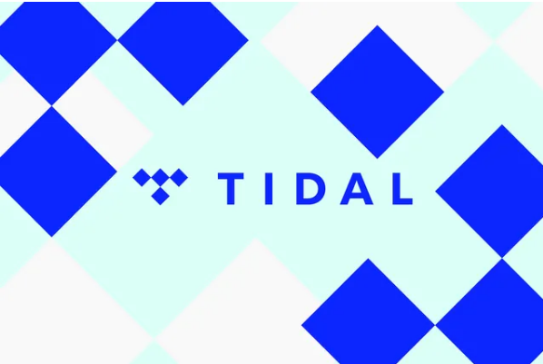 Tidal이 구독료를 대폭 인하하고 서비스를 개편(이미지출처-theverge)