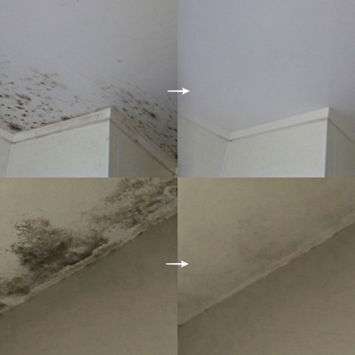 뿌곰제 뿌리는 곰팡이 제거제 사용 후기