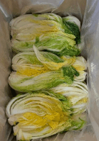 2023년 절임배추