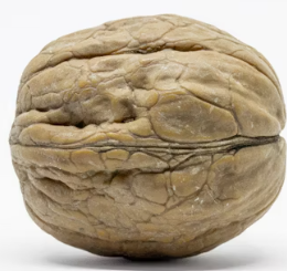 오메가3 많은 음식 식품