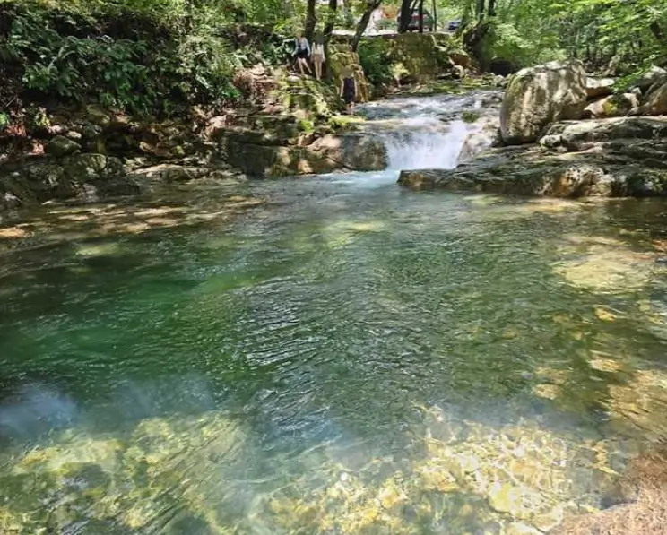 곡성 도림사 계곡