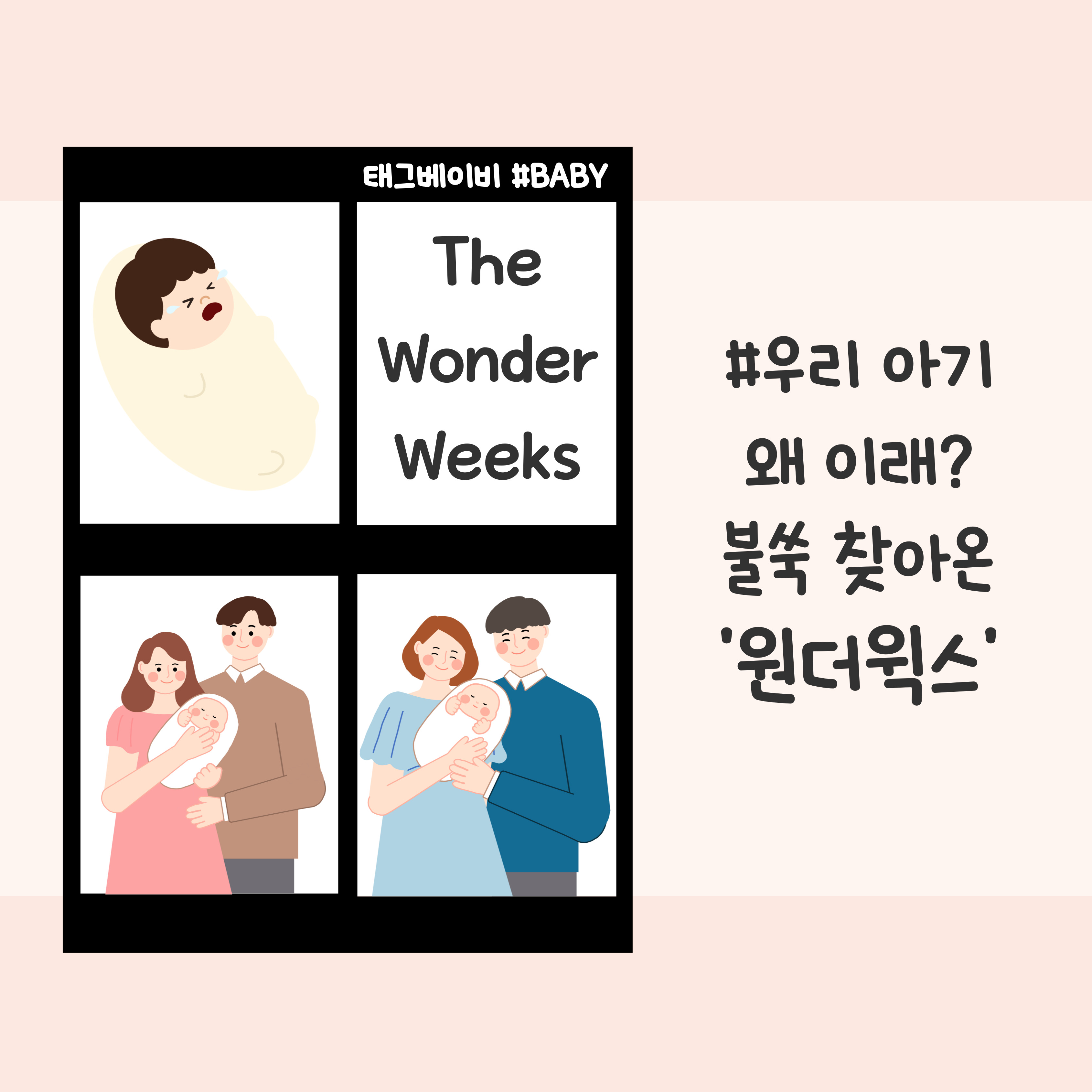 원더윅스 wonder weeks 성장급등기 프란스 플로이 도약기 인지발달