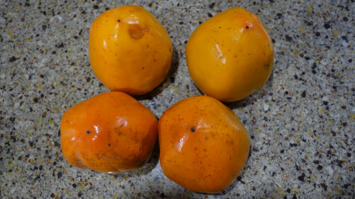 대봉감 익히는 법과 보관법