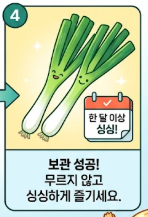 대파 보관법