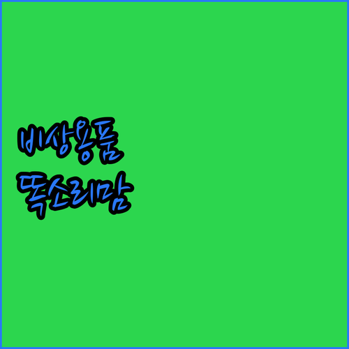 💪 똑소리 나는 엄마의 비상용품 완벽