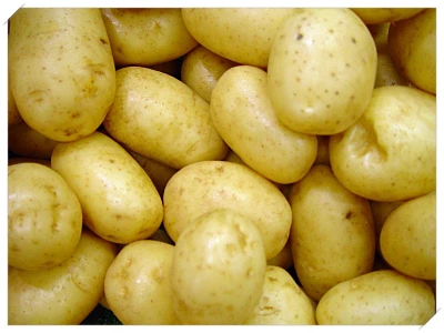 식도염 좋은 음식