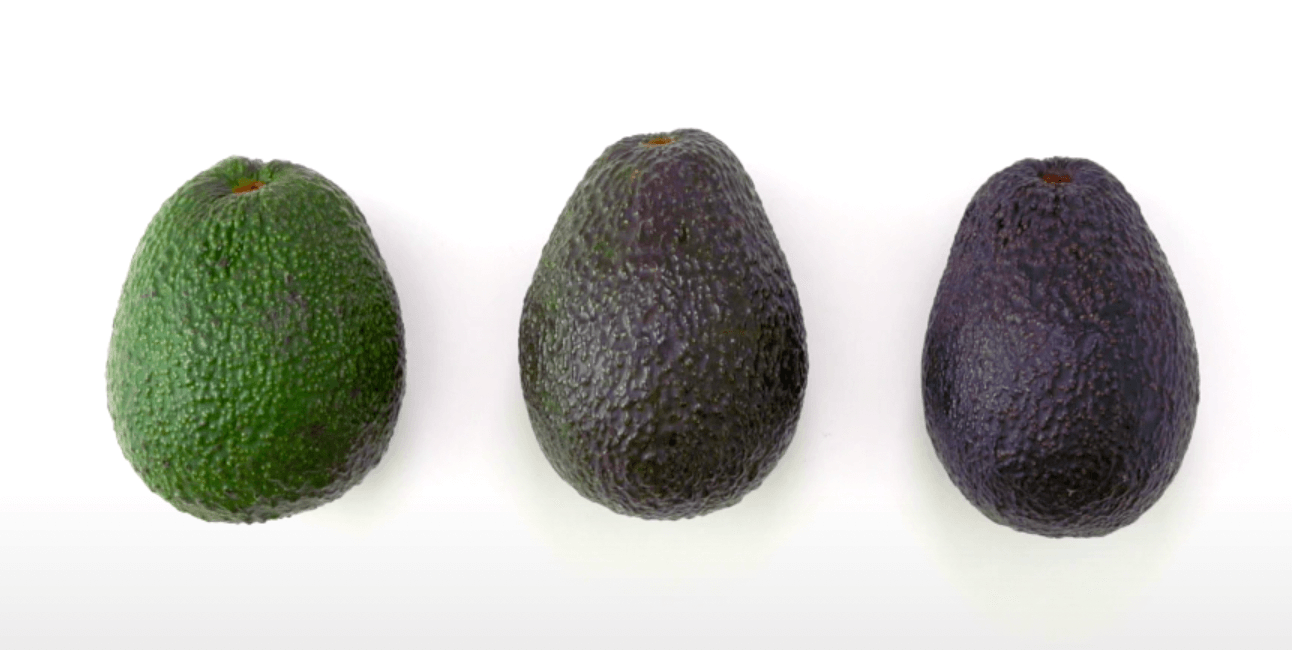 아보카도 익는 과정