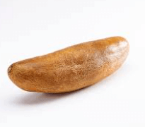 노각오이 재배법