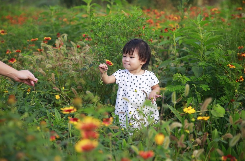 서울 근교 아이랑 가기 좋은 곳 사진