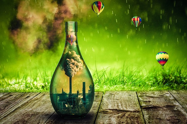 생물경제 관련 사진