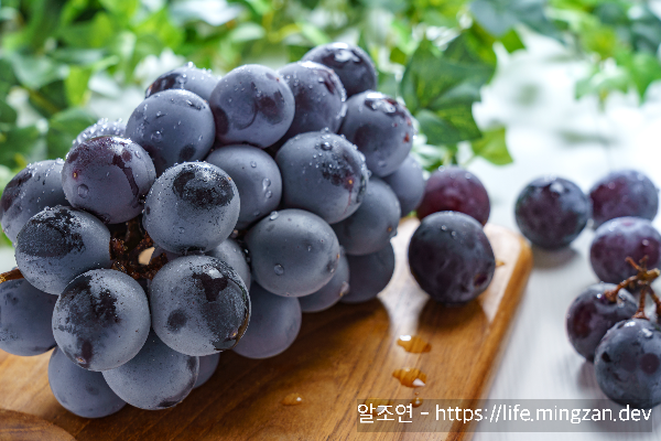 씨 뱉는 귀찮음을 감수하며 먹는 포도의 효능은 과연?