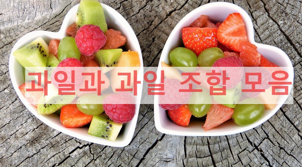 과일과-과일-조합-모음