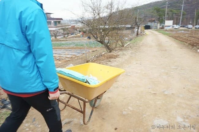 주말농장, 텃밭 가꾸는 방법! 밭갈이부터 텃밭 작물 파종까지