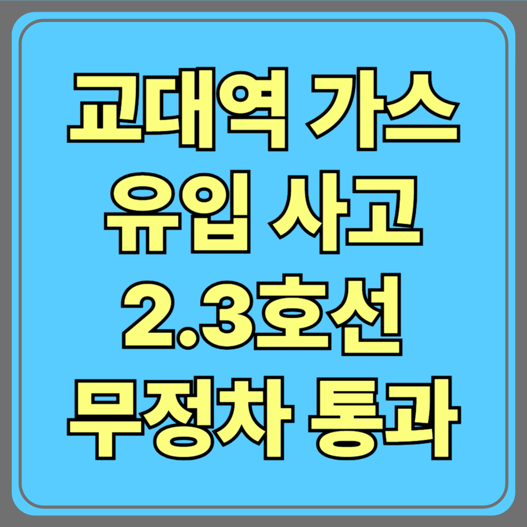 교대역 가스 유입 사고…2·3호선 무정차 통과! 포크레인 작업 중 배관 파손 원인