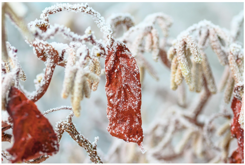 골 섬유종에 대해 깊이 있게 알아보기