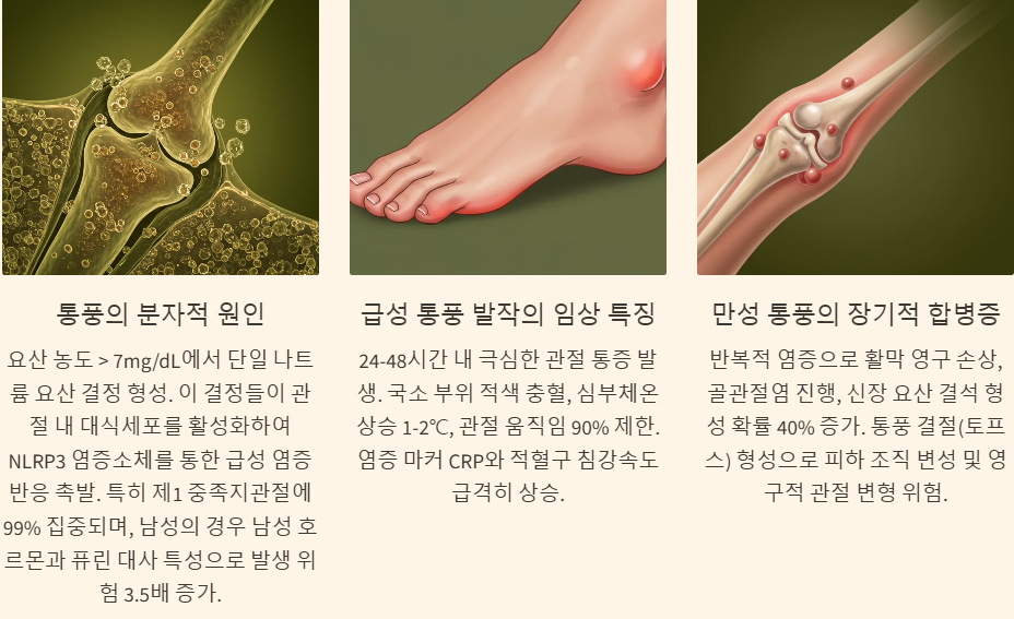 통풍의 원인과 증상