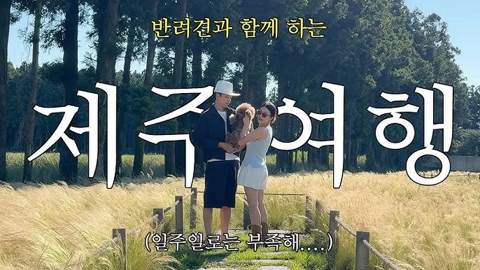 제주 반려견과 함께 가기 좋은 펫프렌들리 숙소 리스트_1