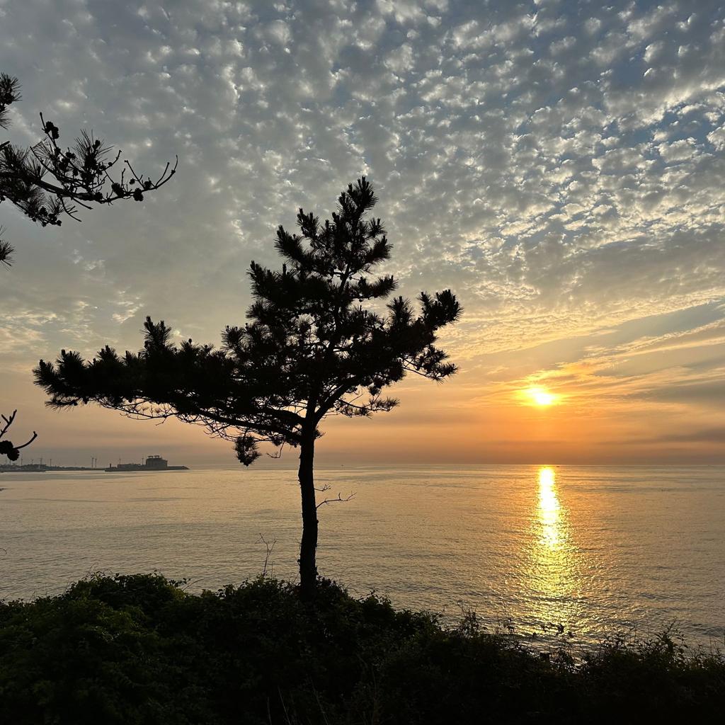 AI 제공