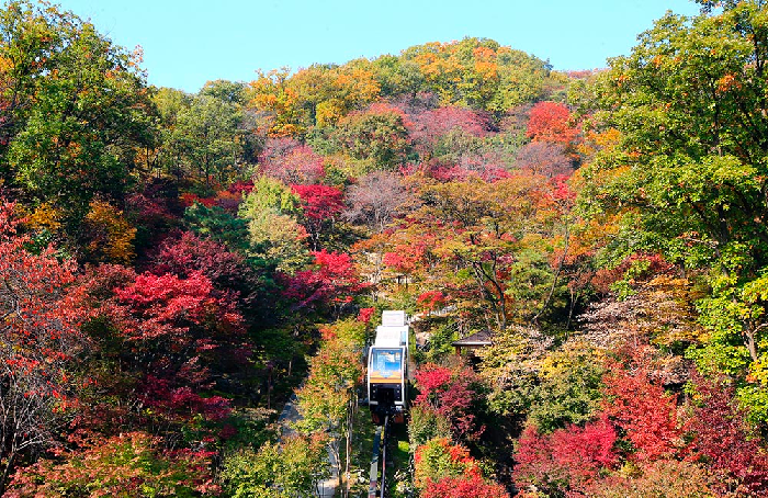 당일치기-서울-근교-단풍-구경-가볼만한-곳-화담숲
