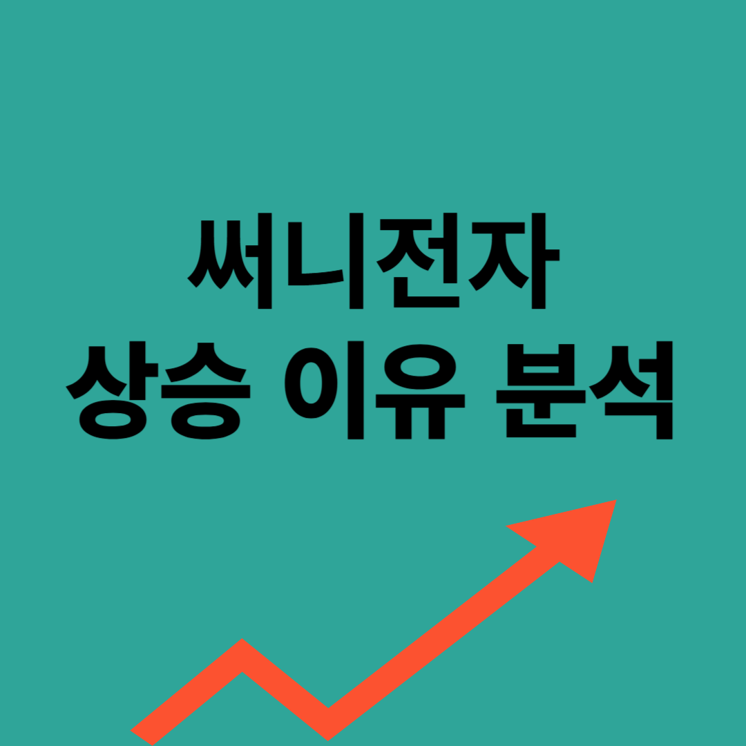 써니전자