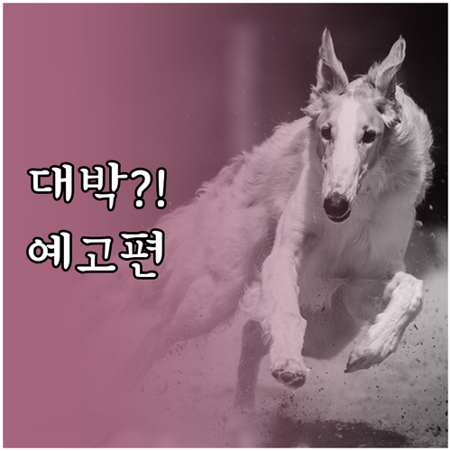 사냥개들2 시즌3 출시일 예상 및 주..