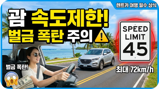 괌 속도제한 렌트카