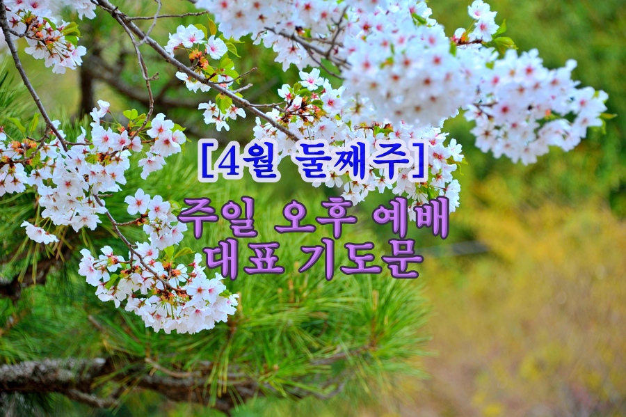 주일 오후 예배 대표 기도문 4월 둘째 주