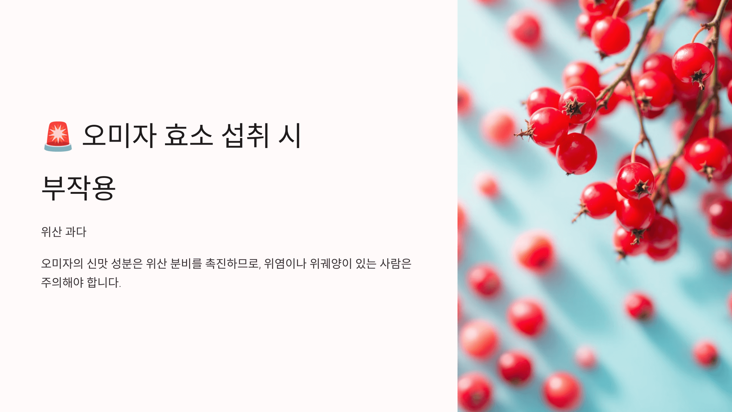 오미자 효소와 관련된 사진입니다.