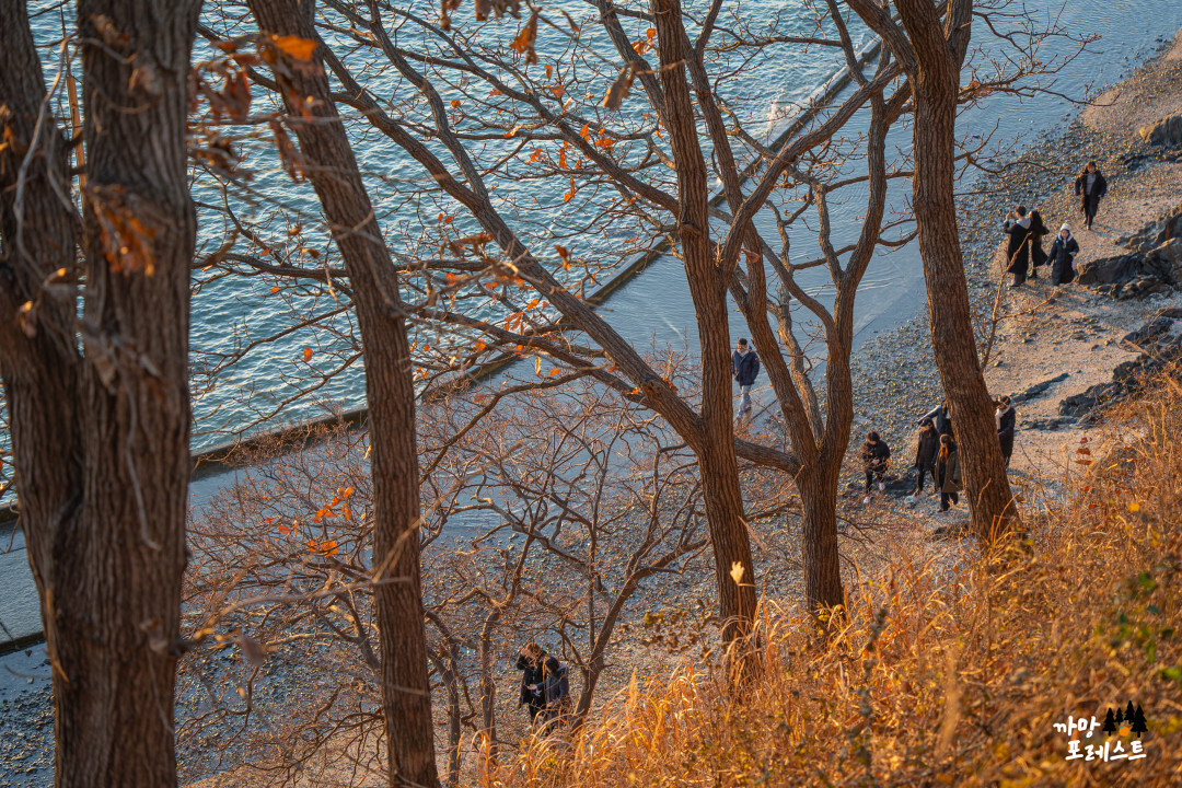 안산 구봉도 바닷길