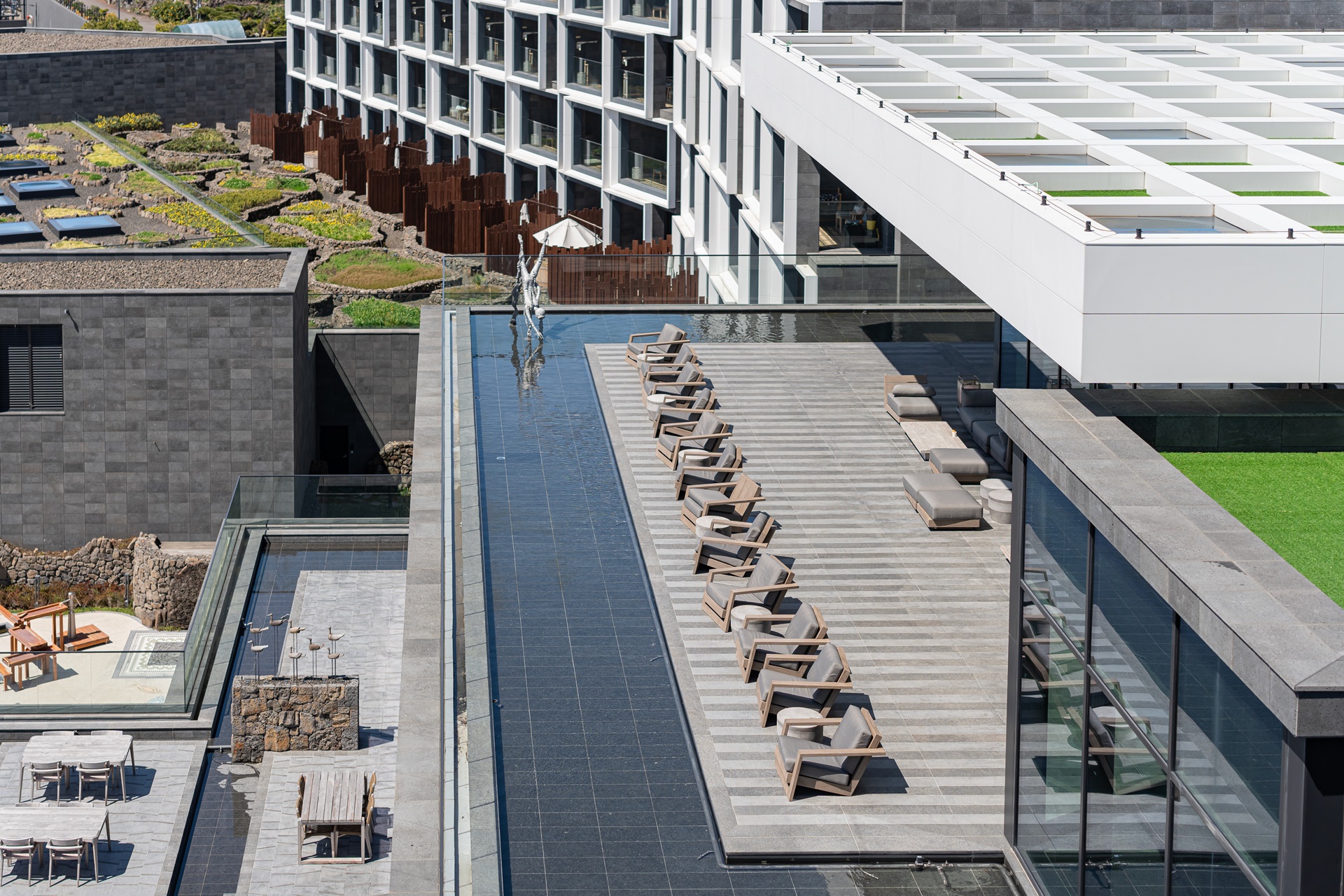 #JW가든 #JW메리어트제주 #댄싱두루미 #더플라잉호그 #아일랜드키친 #유채꽃 #제주사진 #제주여행 #제주유채꽃 #제주호텔