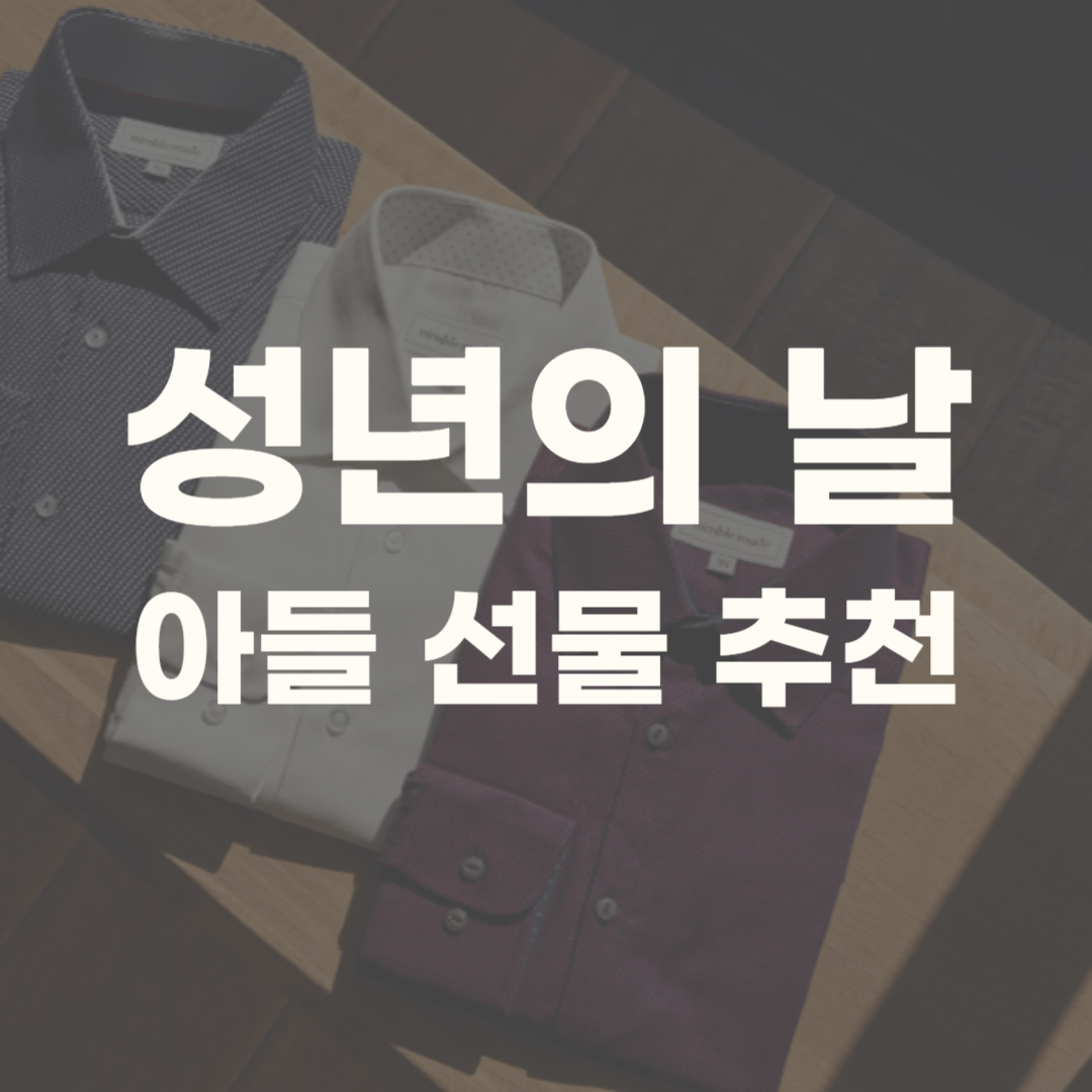 성년의 날 딸 아들 선물 추천